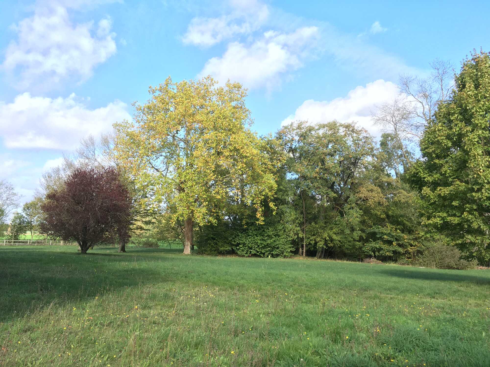 Location de terrains de chasse