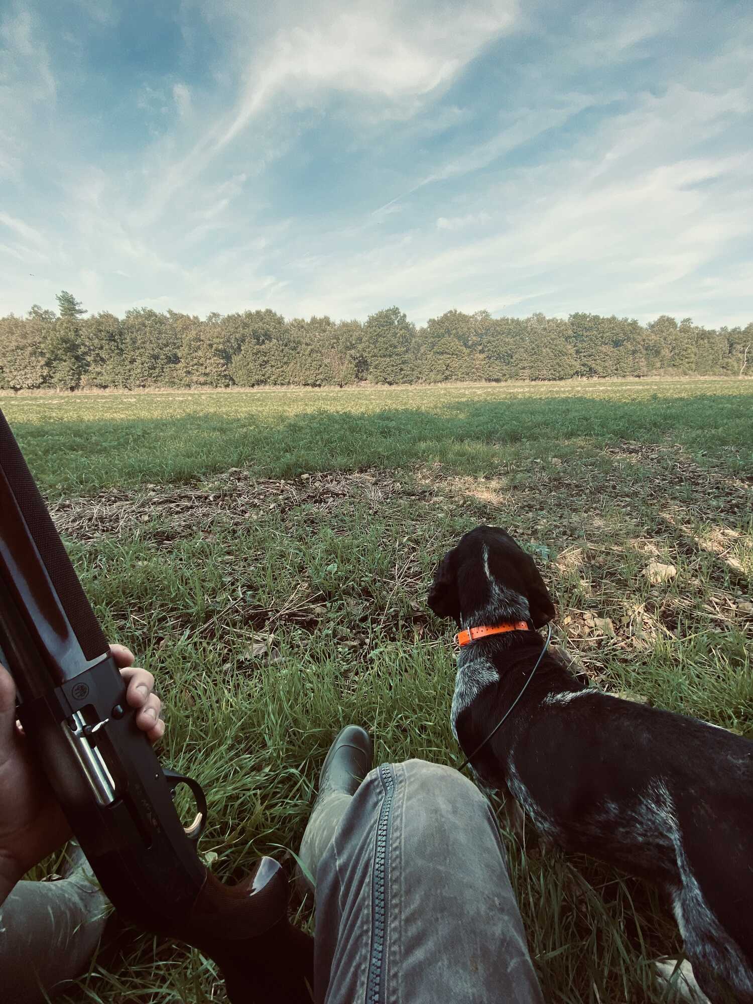 Location de domaine de chasse