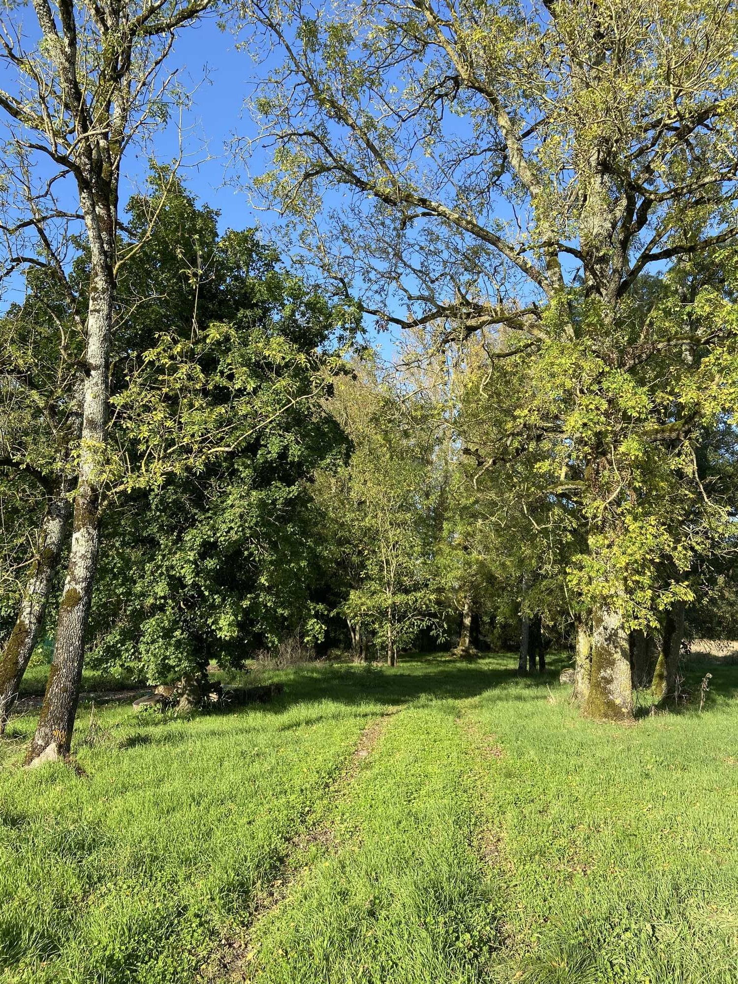 activités en pleine nature